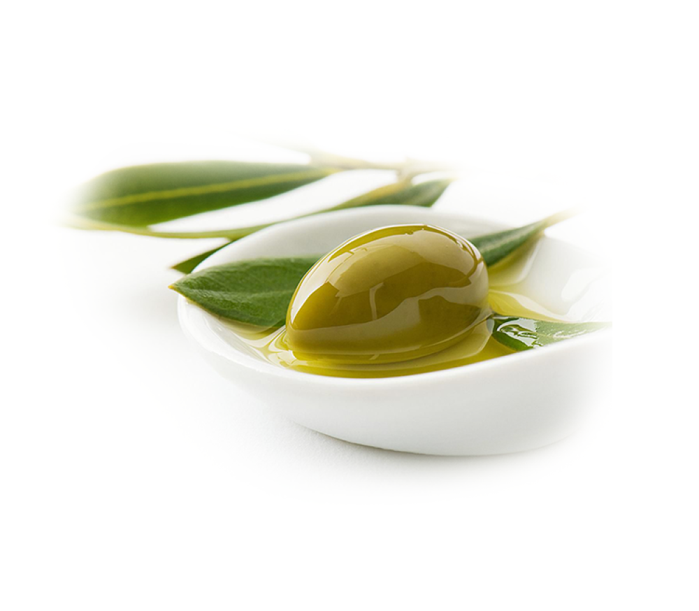 معلومات عنا